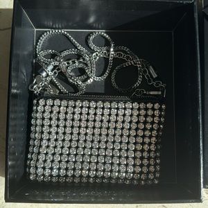 Alexander wang heiress nano pouch
